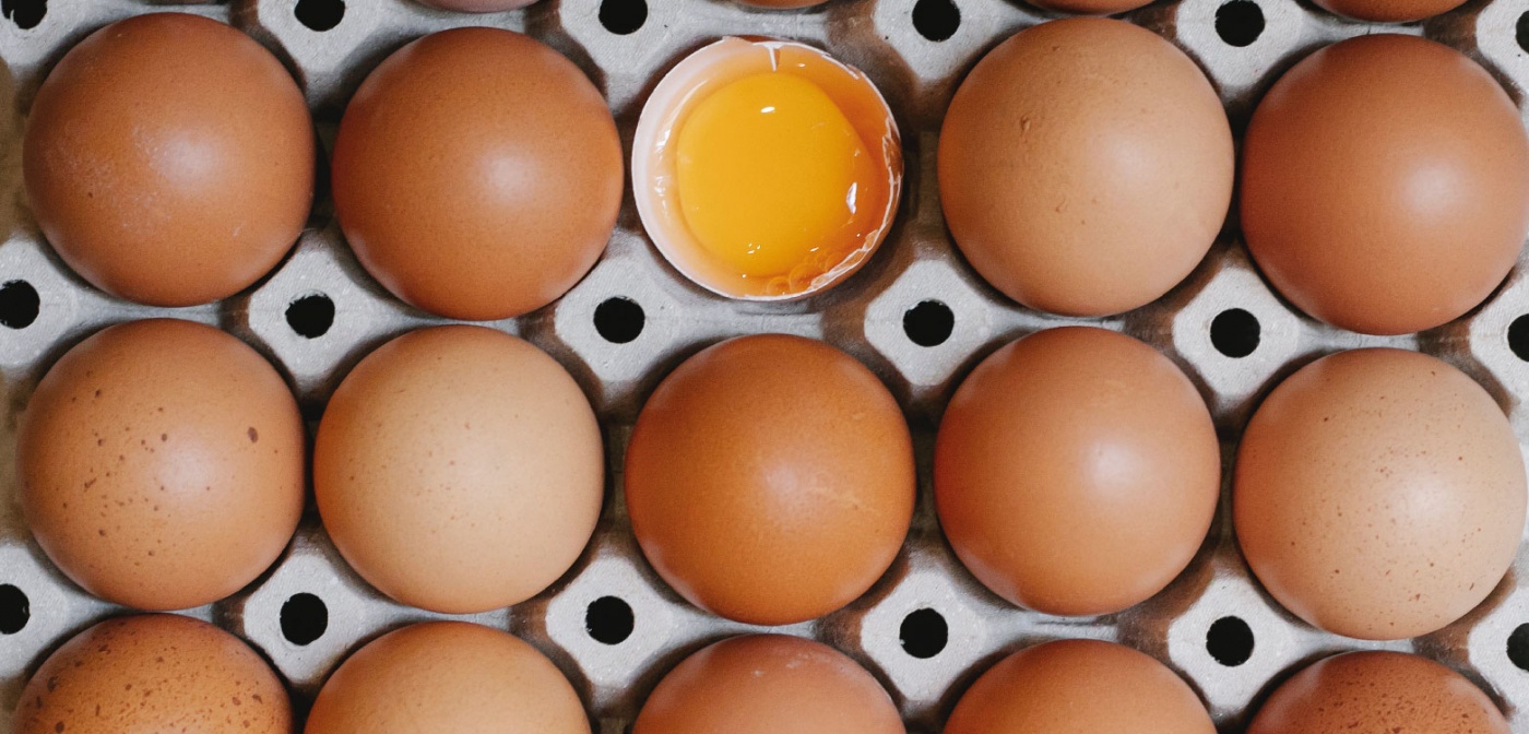 яйца источник белка
